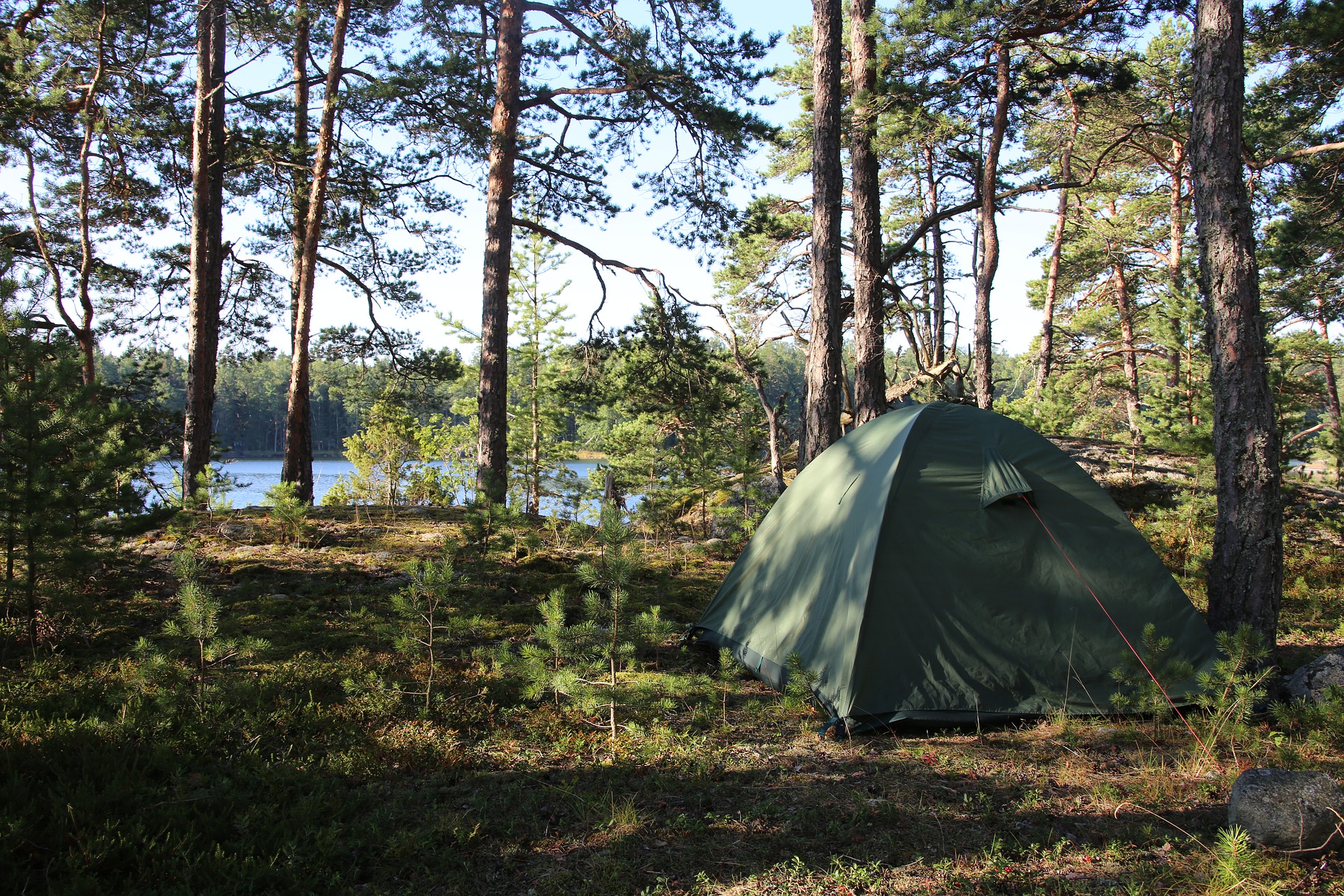 Zdjęcie przedstawia namiot w lesie