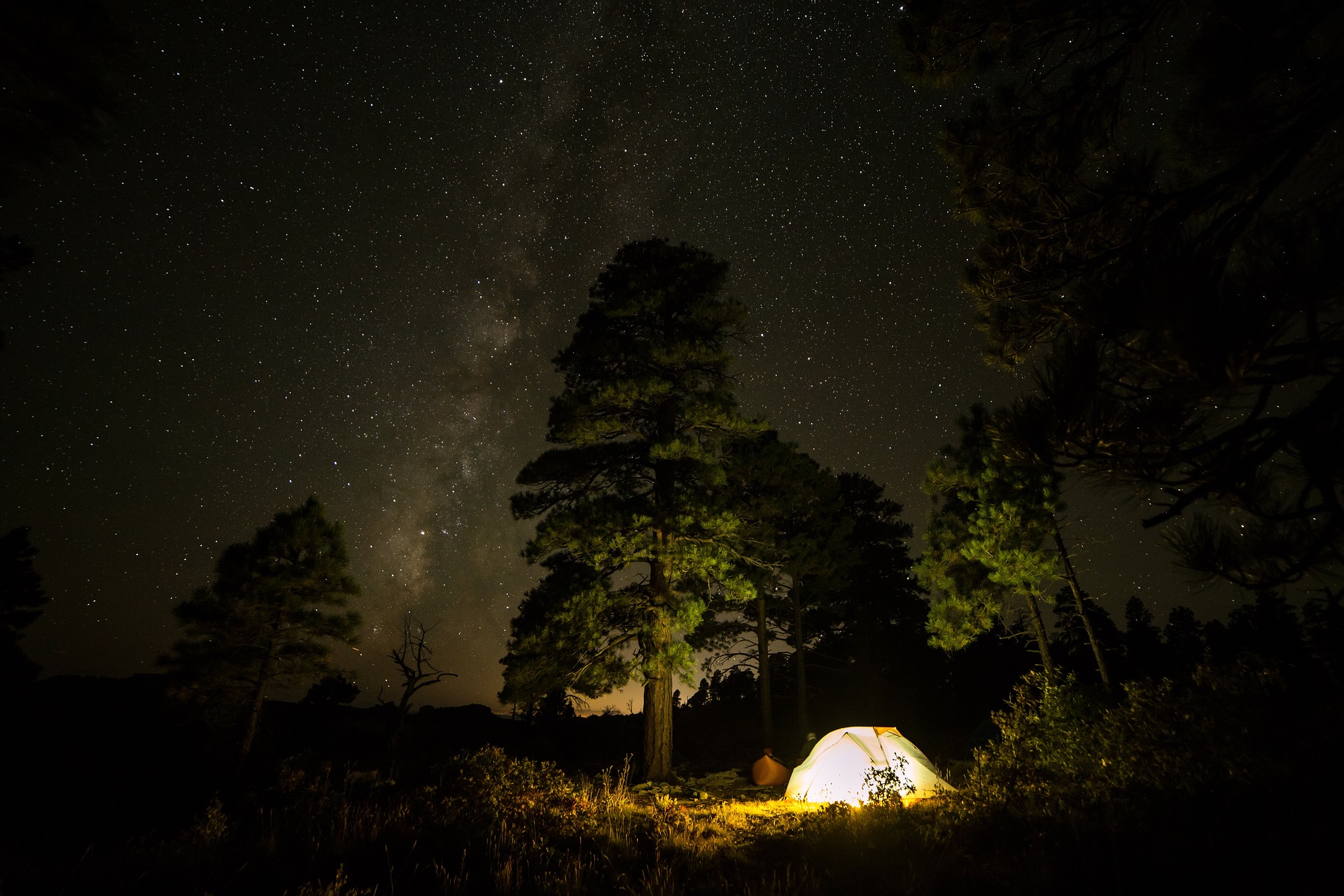 Zdjęcie przedstawia namiot w lesie w nocy