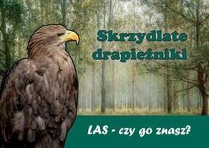 Skrzydlate drapieżniki