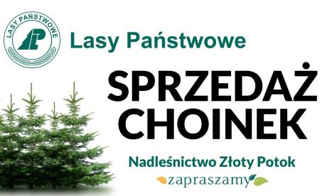 Sprzedaż choinek 2024