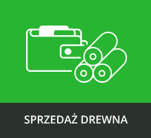 Sprzedaż drewna